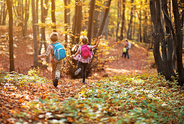 istock Kids running in autumn beech forest 520734085
