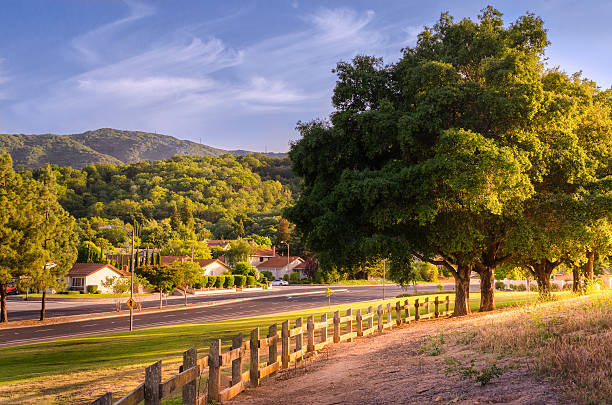 istock neighborhood park 520735147
