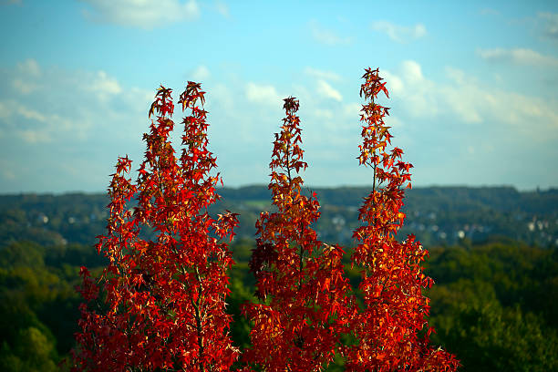 Bunte Herbst – Foto