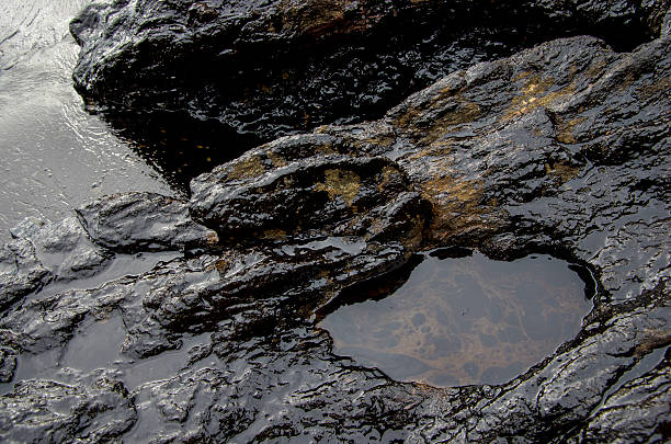 istock The crude oil on the Ao Proa beach 520738412