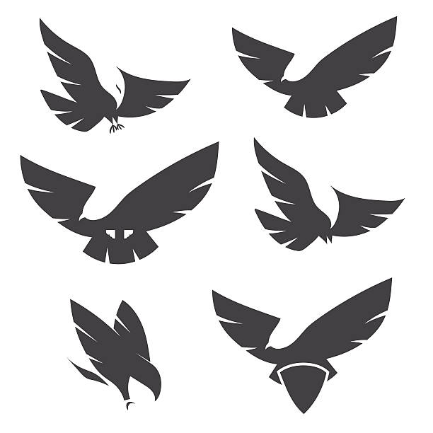 ilustraciones, imágenes clip art, dibujos animados e iconos de stock de conjunto de negro siluetas de los graciosos vuelo águilas. - eagles
