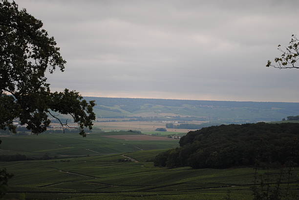istock champagne filed village 520753183