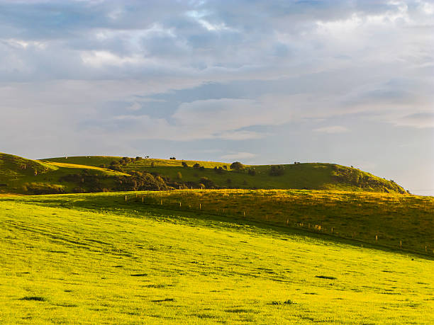 istock Rolling landscape in evening light; North Ayrshire, Scotland, UK 520754287