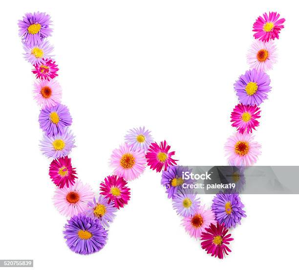 Flower Alphabet Stock Photo - Download Image Now - Alphabet, Cut Out, Flower