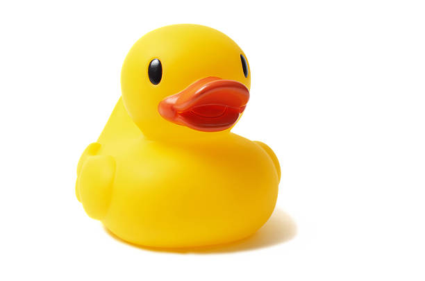 canard en plastique - duck toy photos et images de collection