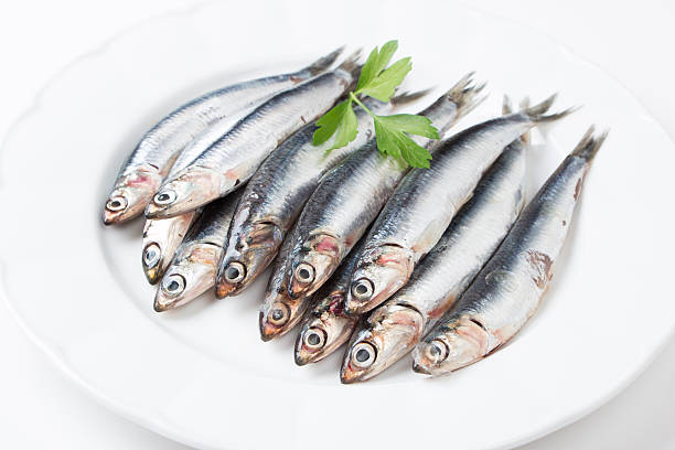 istock Fresh anchovies in a dish 520757933