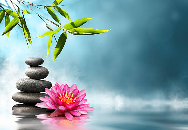 istock waterlily with stones and bamboo 520758551