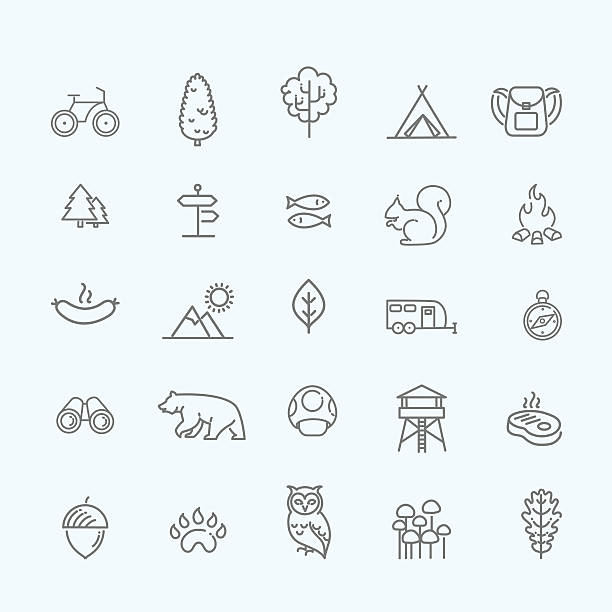 Camping, Forest, Nature & Outdoor Activities icons outline icons wildlife stock illustrations