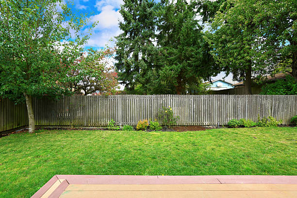 istock Backyard with old wooden fence 520770965