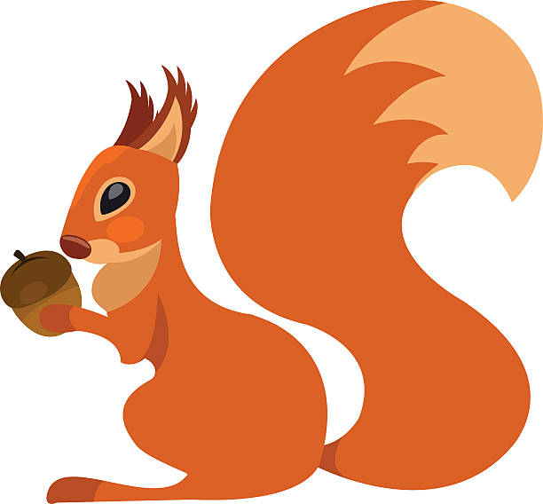 Squirrel Cheeks Illustrations, Royalty-Free Vector Graphics & Clip Art ...