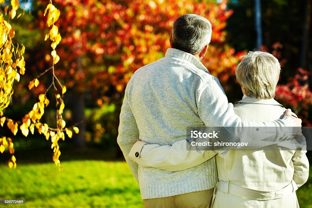 Romance Rear view of aged man and woman taking a walk in autumnal park Rear View Stock Photo