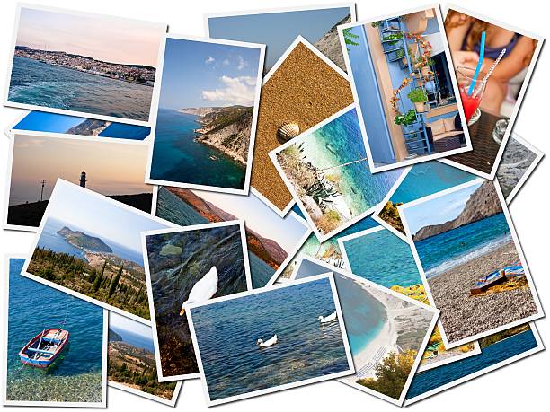 istock Sea life photo collage 520772551