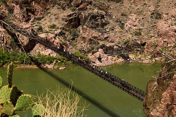 Mule Crossing Mules and riders crossing the Black Bridge over the Colorado River on their way to Phantom Ranch at the bottom of the Grand Canyon. south kaibab trail stock pictures, royalty-free photos & images