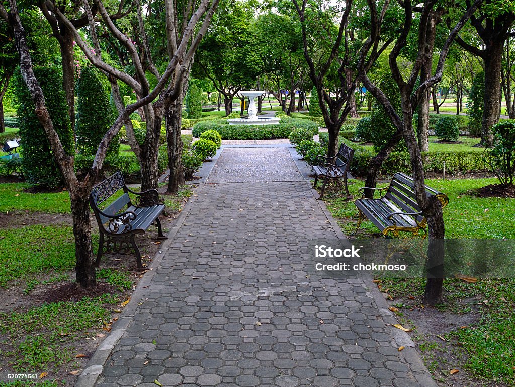 Pothway Pathway Stock Photo - Download Image Now - Armchair, Backgrounds ...