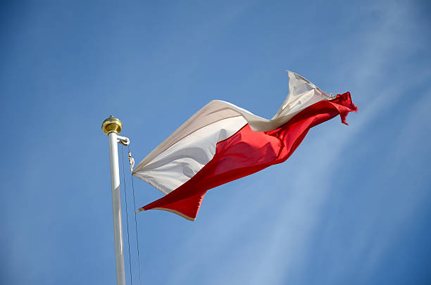 istock Polish flag in the wind 520775050