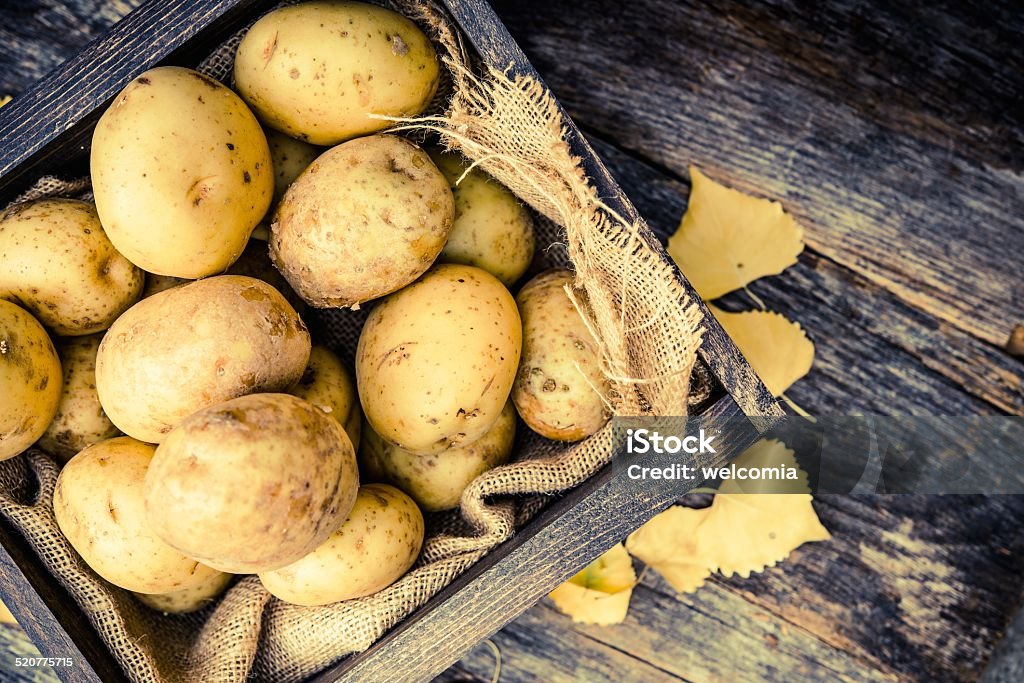 Raw Organic Potatoes Raw Organic Golden Potatoes in the Wooden Crate on Aged Wood Planks Table. Agriculture Stock Photo