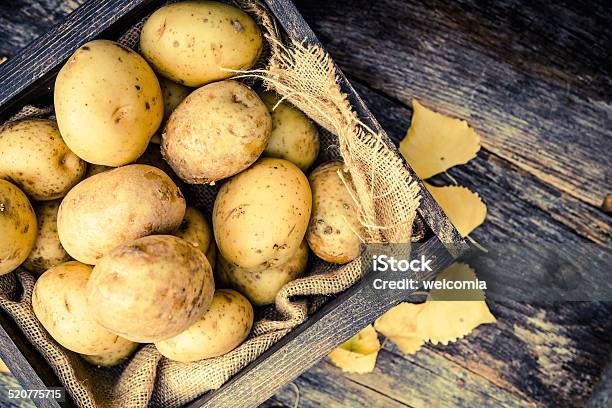 Raw Organic Potatoes Stock Photo - Download Image Now - Agriculture, Animal, Autumn