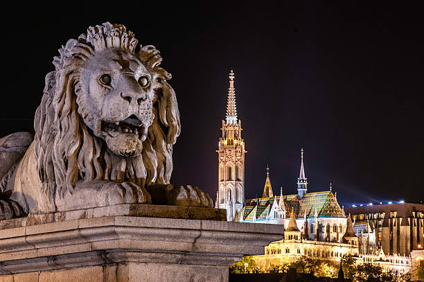 石のライオンの像、chain bridge ,ブダペスト,ハンガリー - chain bridge budapest bridge lion ストックフォトと画像