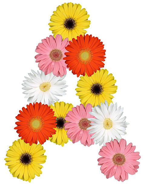istock Letter A alphabet from flowers isolated on white 520777328