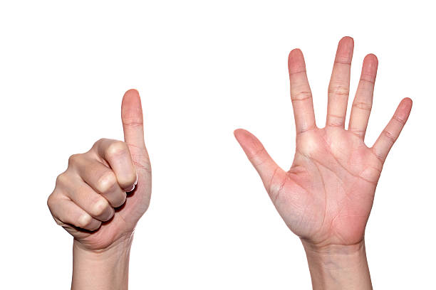 istock Woman hand making sign  number 6. Isolated on white background 520777546