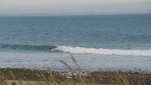 istock Surfing Sunset at Pacific Coast of California 520778608