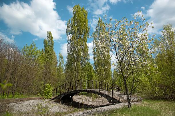 istock Park bridge in Pripyat town in Chernobyl Exclusion Zone 520779258