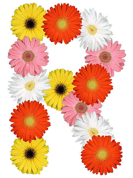 istock Letter R alphabet from flowers isolated on white 520780246