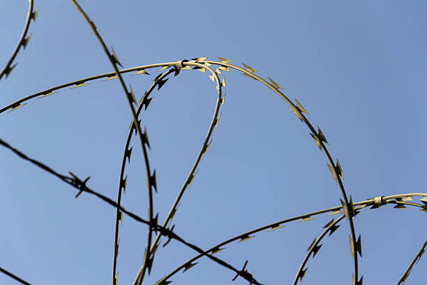istock Prison wall barbed wire fence detail with blue sky background 520781032
