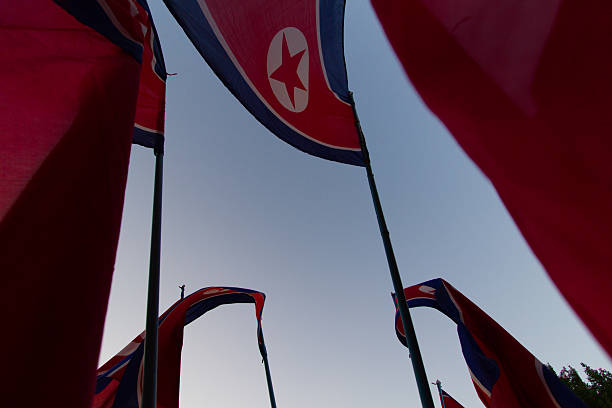 istock North Korean flags in the wind 520781050