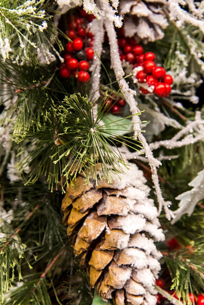 istock Christmas decorations, berries and pine cones 520787811