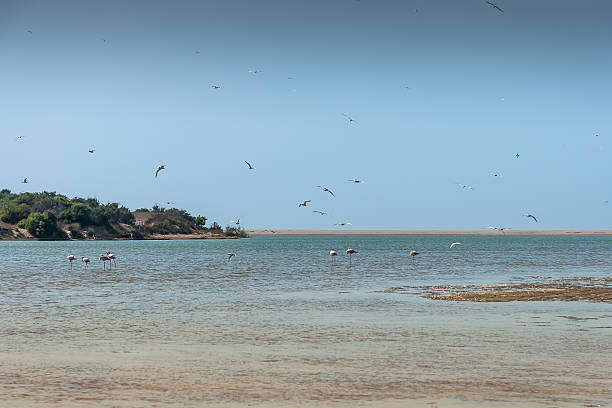 istock Souss Masa National Park 520789109