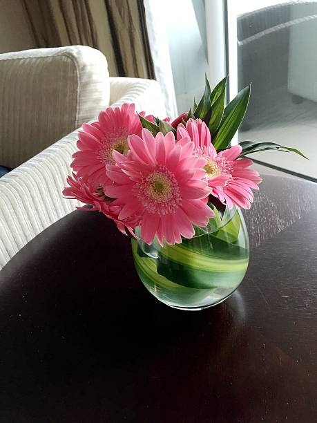 istock Pink Flower in a vase 520789315