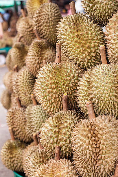 istock Durian in the market 520789749