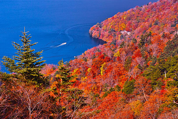 lago no outono - nikko national park - fotografias e filmes do acervo