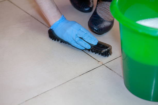 istock Woman cleaning the floor 520794408