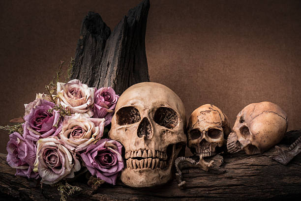 istock still life photography with human skull and roses 520797420