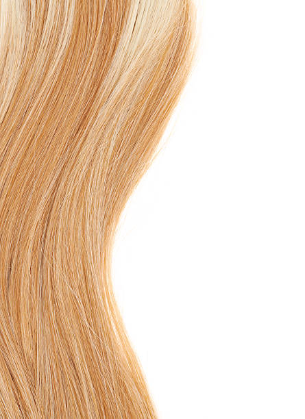 istock Hair fragment over the white 520798502