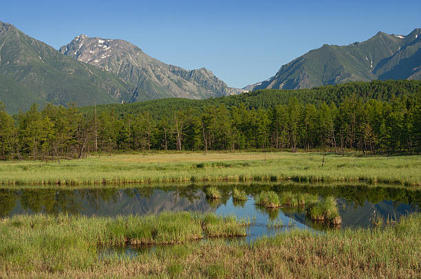 istock Morning near the Baikal ridge 520799138