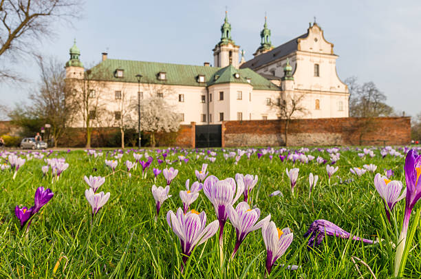 istock Crocuses on the meadow and Skalka monastery, Krakow, Poland 520799264
