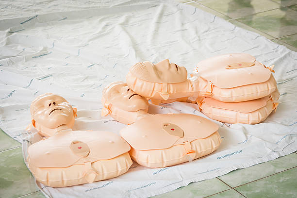 istock Model of dummy used for CPR training. 520800086