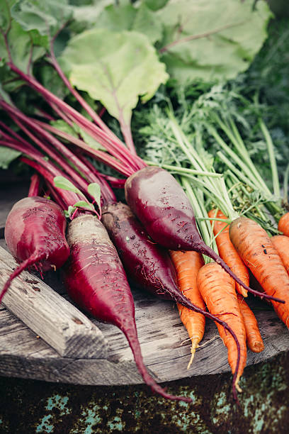 istock Rustic Fresh harvest of carrots 520800904