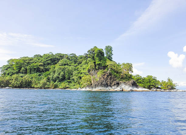 istock Red frog island. Panama 520803136
