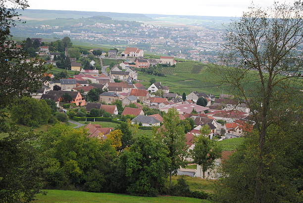 istock champagne filed village 520805801