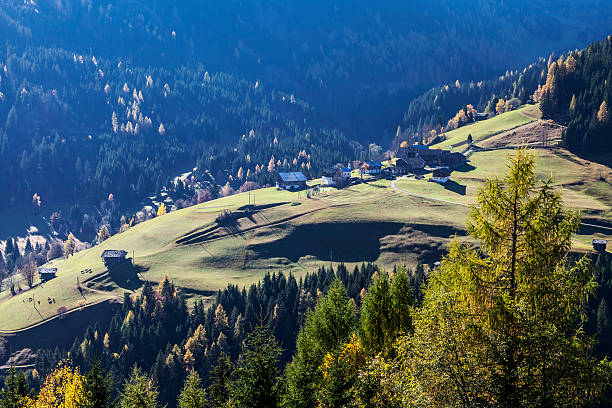 istock Alpine pasture above the Lesachtal 520806155