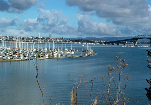 Bayswater Marina, North Shore, Auckland, New Zealand