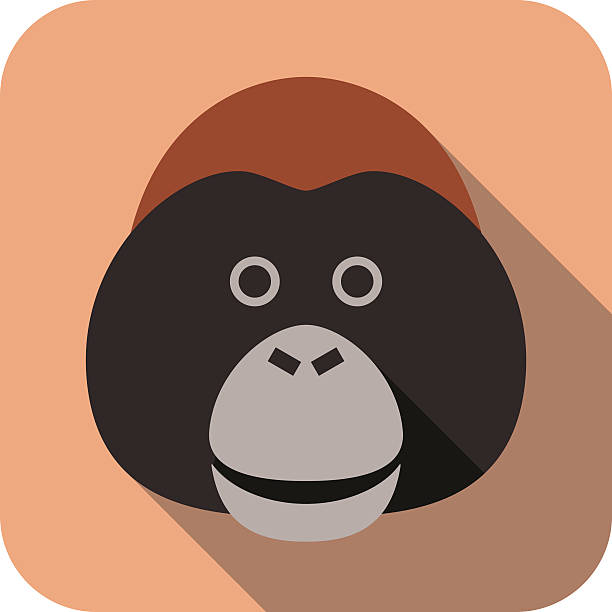 Cute Orangutan Illustrations, Royalty-Free Vector Graphics & Clip Art - iStock Cute Orangutan Illustrations, Royalty-Free Vector Graphics & Clip Art - iStock