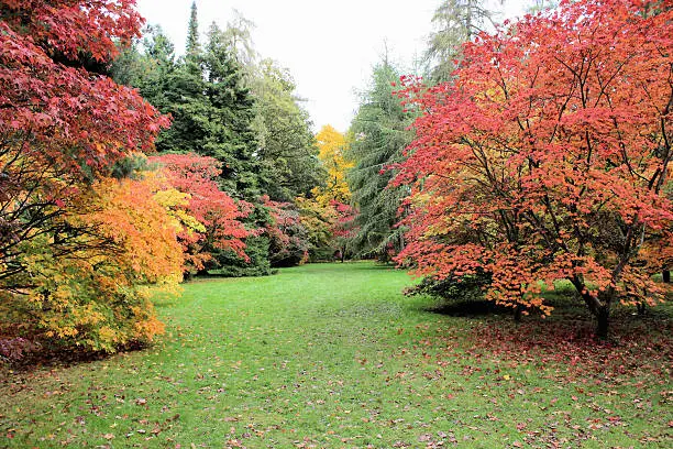 Photo of Autumn colours