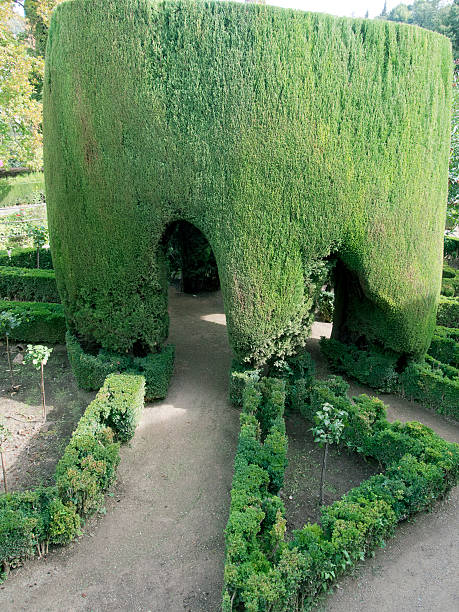 istock Alhambra Granada decorative   garden with bush arches outdoor 520809103