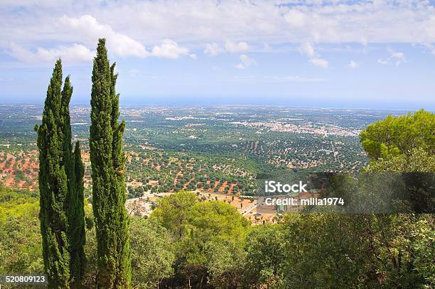 Panoramic View Of Fasano Puglia Italy Stock Photo - Download Image Now - Italy, Fasano, Valley