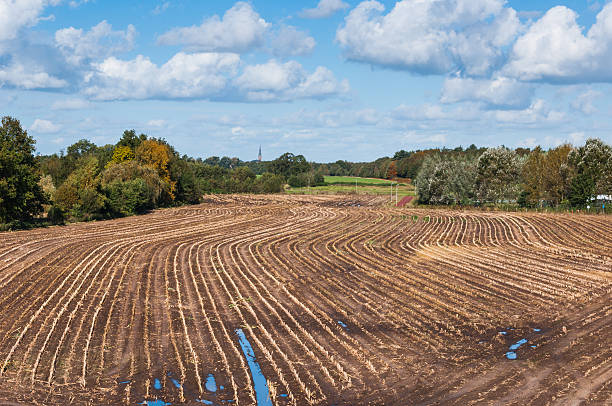 istock Colorful autumn landscape in the Netherlands 520810891